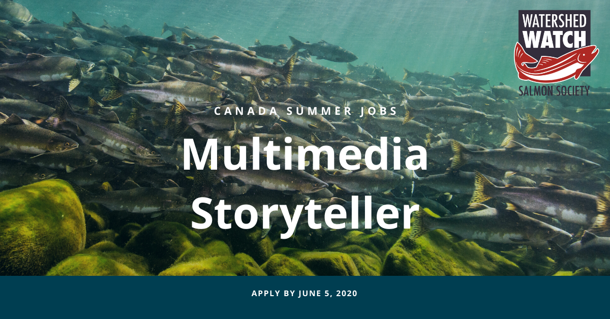 Job: Multimedia Storyteller