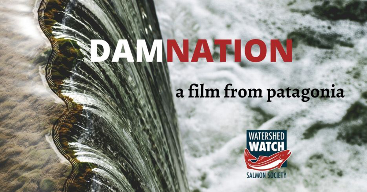 Damnation