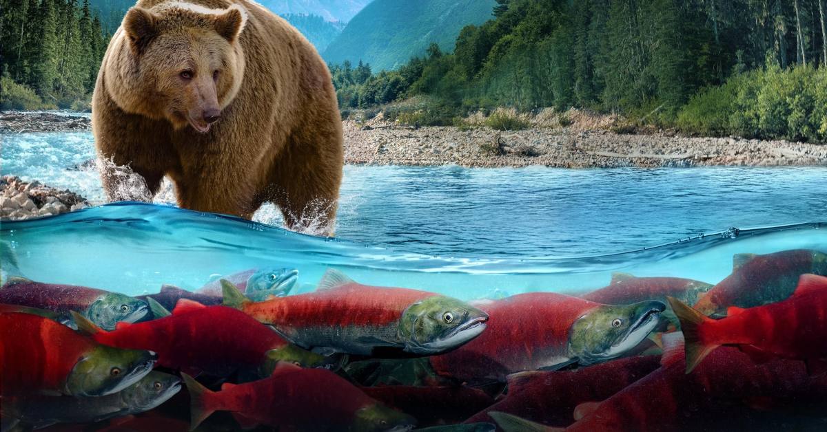 Copy of Copy of IMAX Vic Graphic (Facebook Ad) (1)