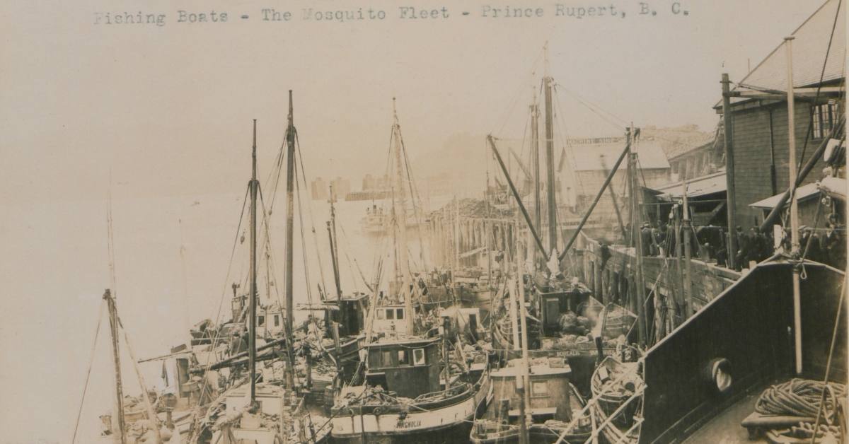 Fishing boats-the mosquito fleet, Prince Rupert, British Columbia